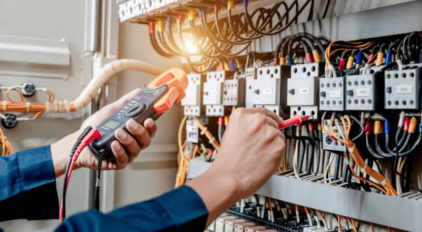 Best Ceiling Fan Installation Electrician  in Lake Dunlap, TX