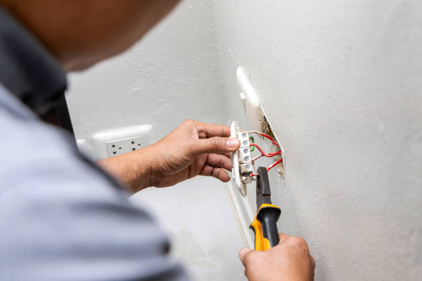 Best Electrical Upgrades for Homes  in Lake Dunlap, TX